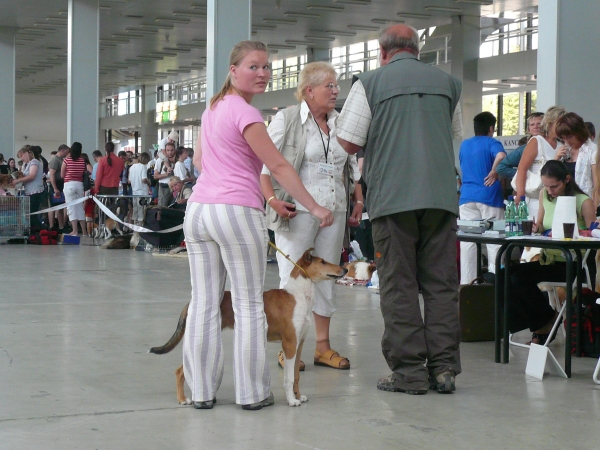 NVP Brno Intercanis 1.jpg