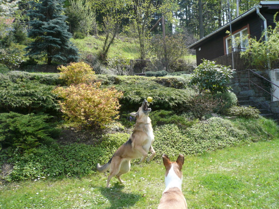 P1030350.JPG