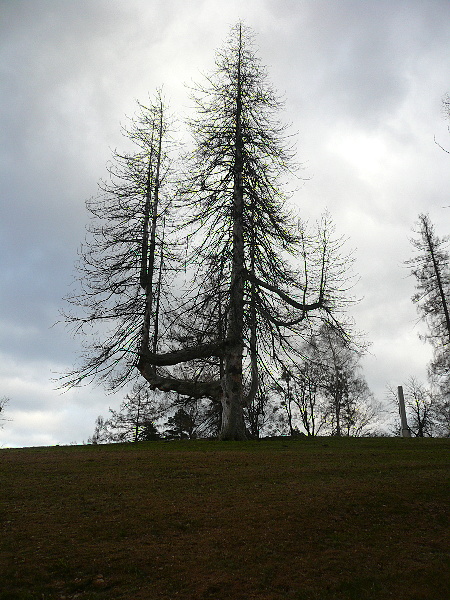 P1020472.jpg